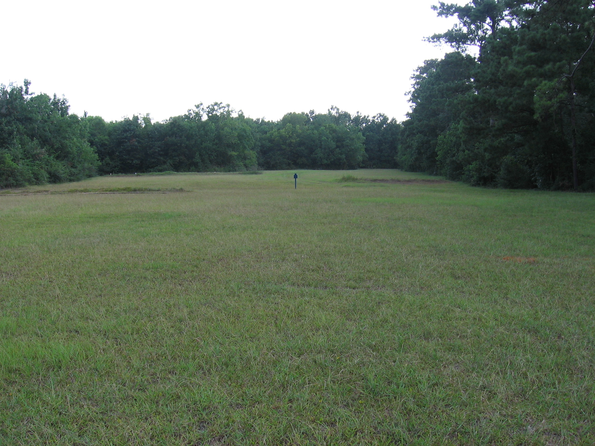 Target At 225 Feet (75 Yards) Using The Ruger 10/22 & Marlin 60 Transitioning To AR�15 Using 0.22 LR Conversion Unit!